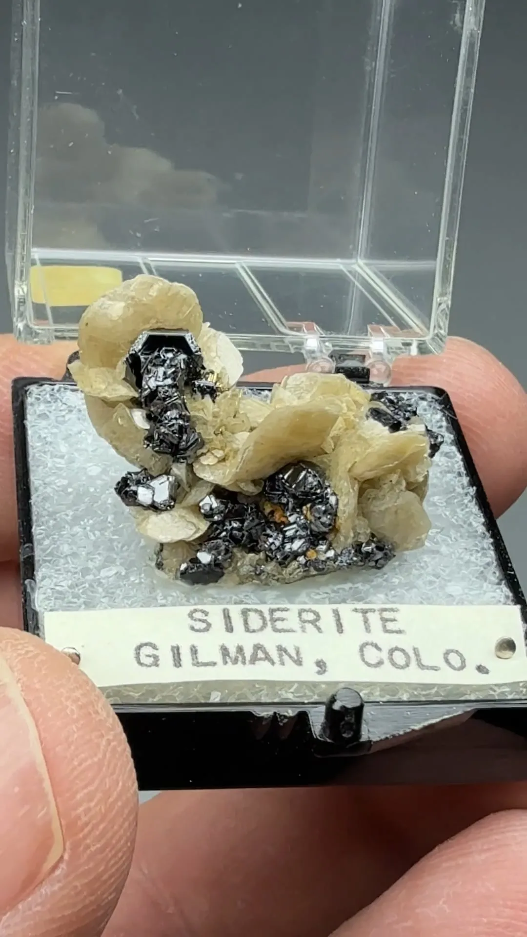Siderite with Sphalerite - image 2