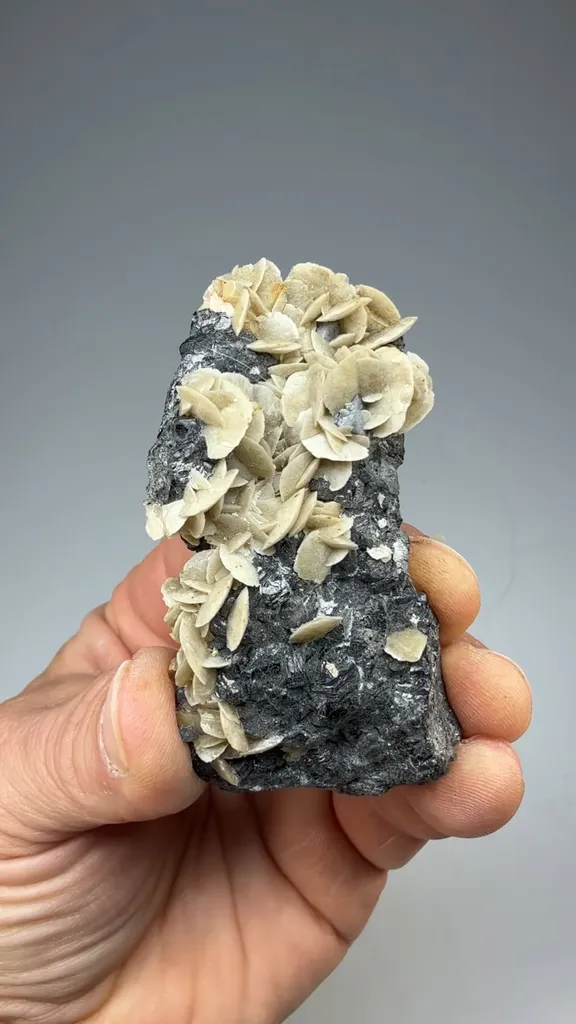 Siderite with Sphalerite - image 2