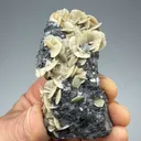 Siderite with Sphalerite - image 2