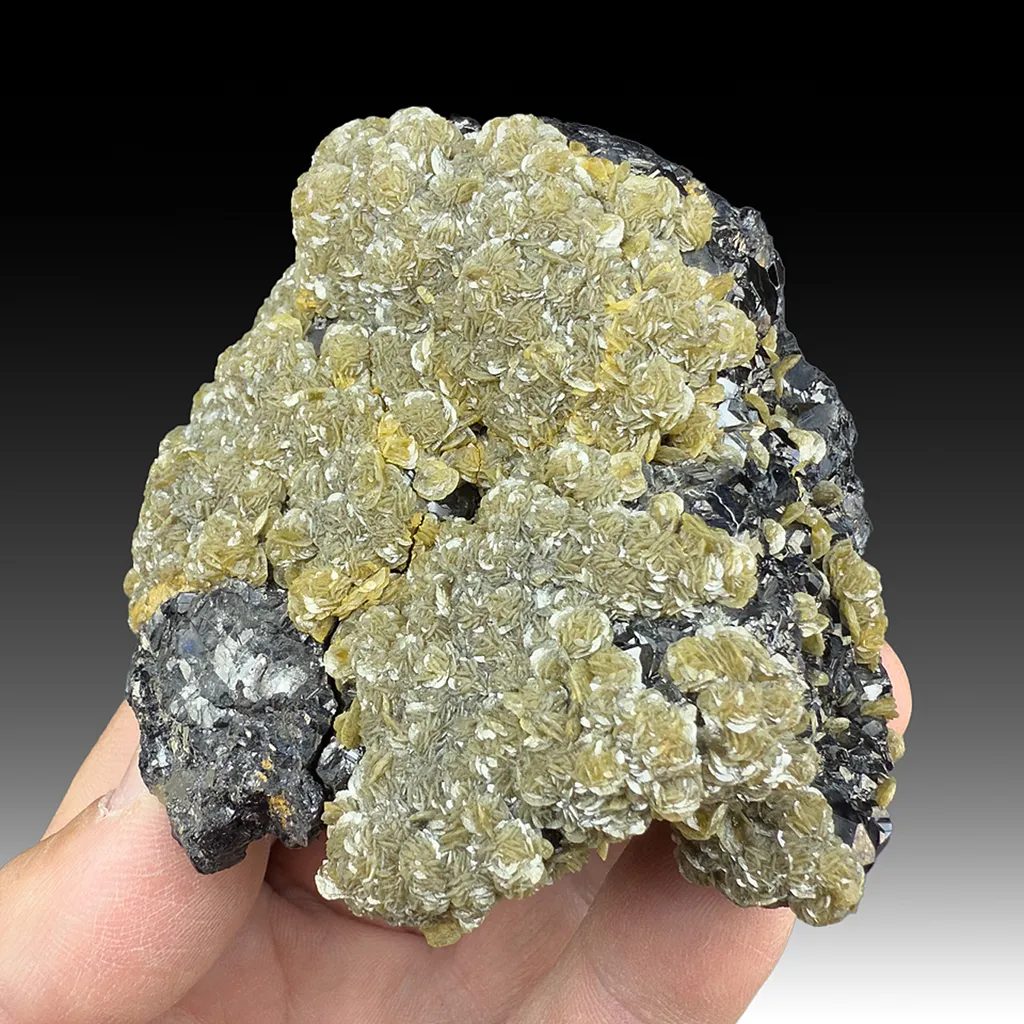 Siderite with Sphalerite image