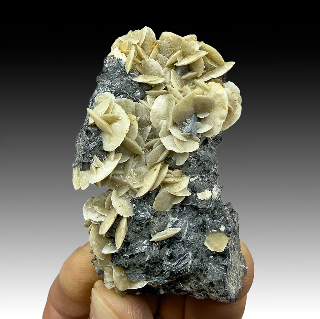 Siderite with Sphalerite image