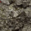 Siegenite with Chalcopyrite - image 3