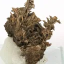 Silver - image 1