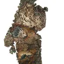 Silver - image 1