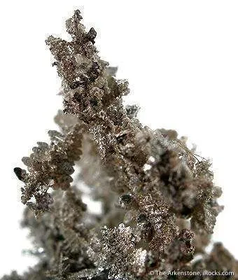 Silver - image 3