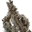 Silver - image 3