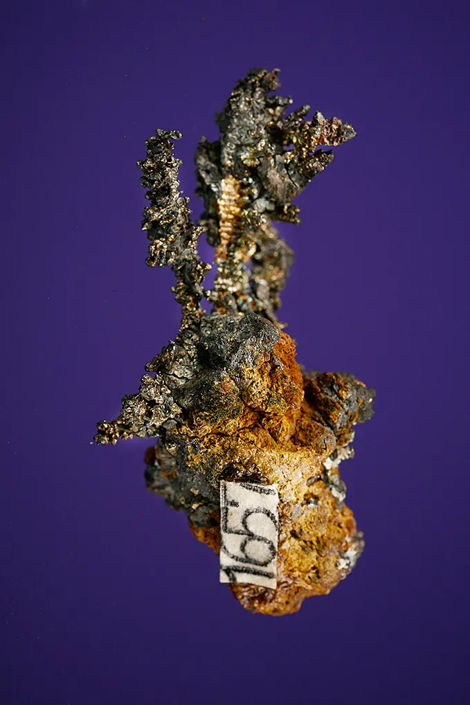 Silver - image 5