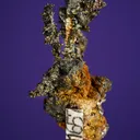 Silver - image 5