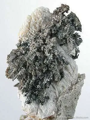 Silver - image 3