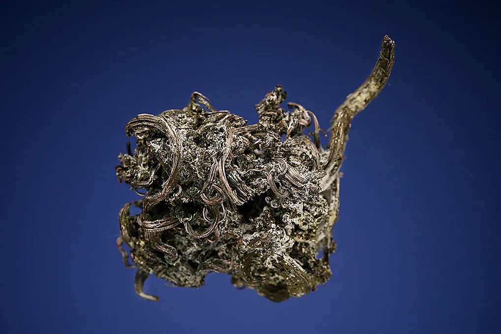 Silver - image 4