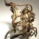 Silver - image 1