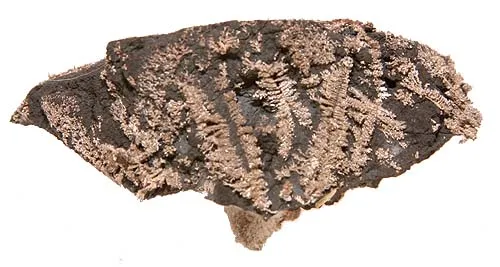 Silver image