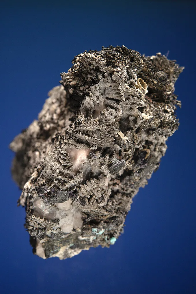 Silver - image 5