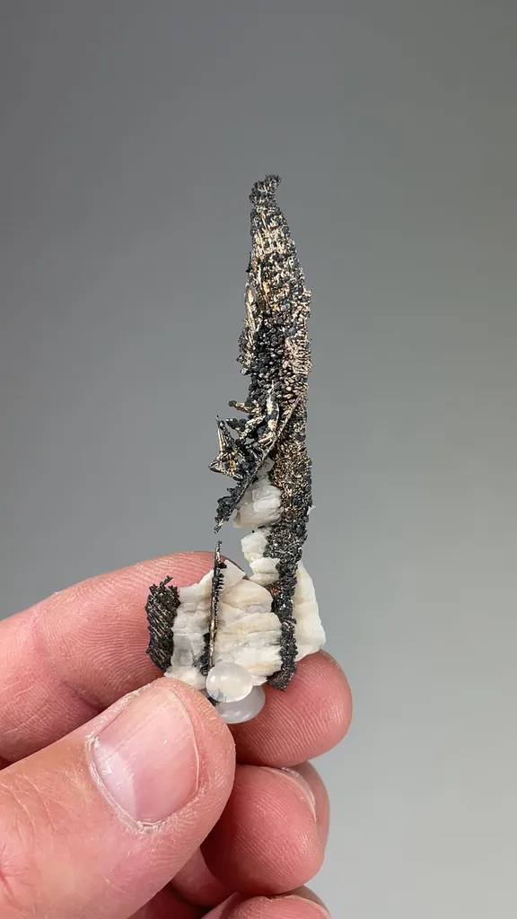 Silver - image 2