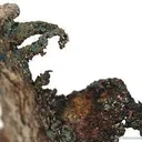 Silver - image 3