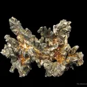 Silver - image 4