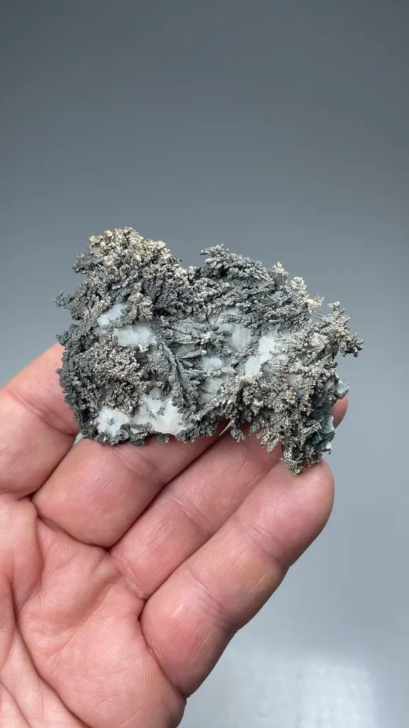 Silver - image 2