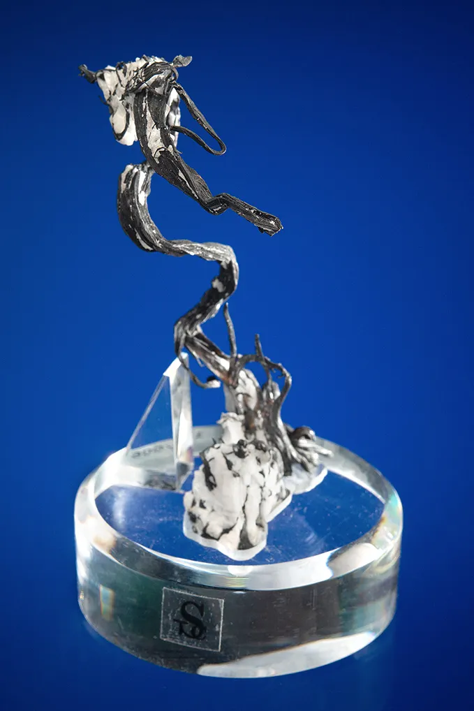 Silver - image 5
