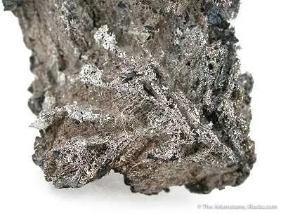 Silver - image 4