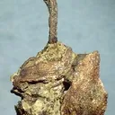 Silver - image 1