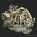 Silver - image 4