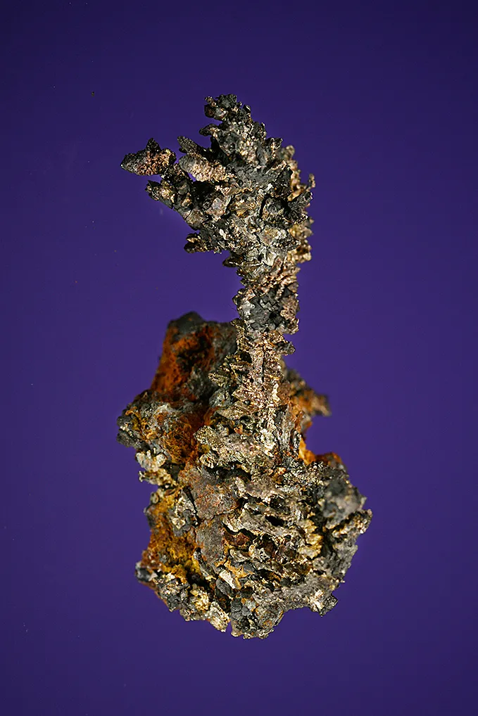 Silver - image 4