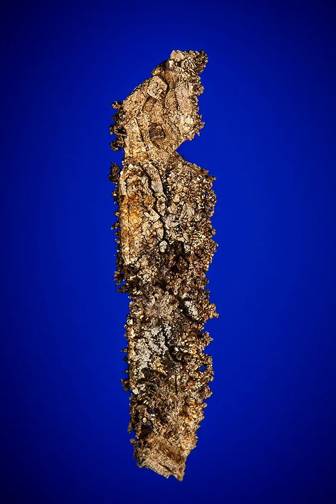Silver image
