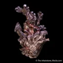 Silver - image 4