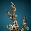 Silver - image 2