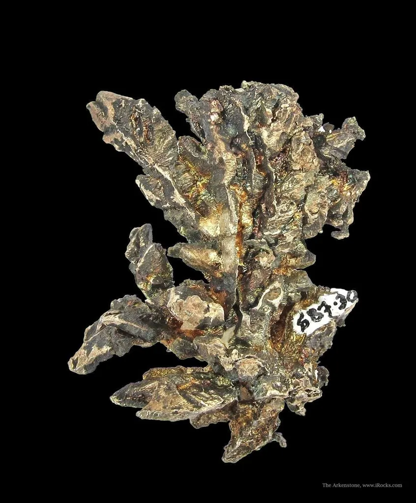 Silver - image 5