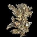 Silver - image 5