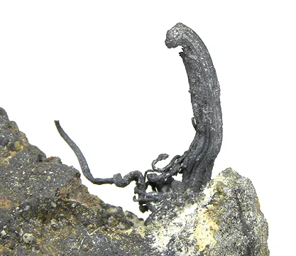 Silver - image 2