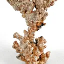 Silver - image 1