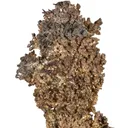 Silver - image 8