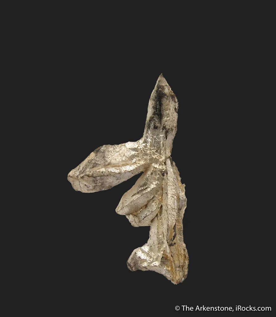 Silver image