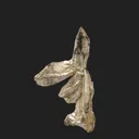 Silver - image 1