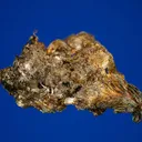 Silver - image 3