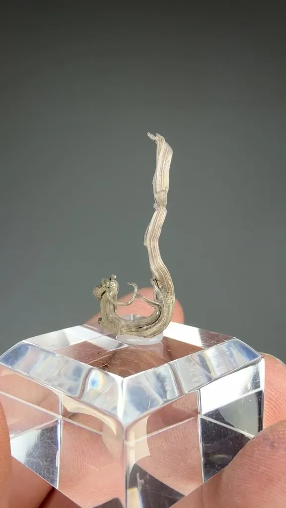 Silver - image 2