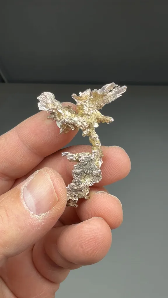Silver - image 2