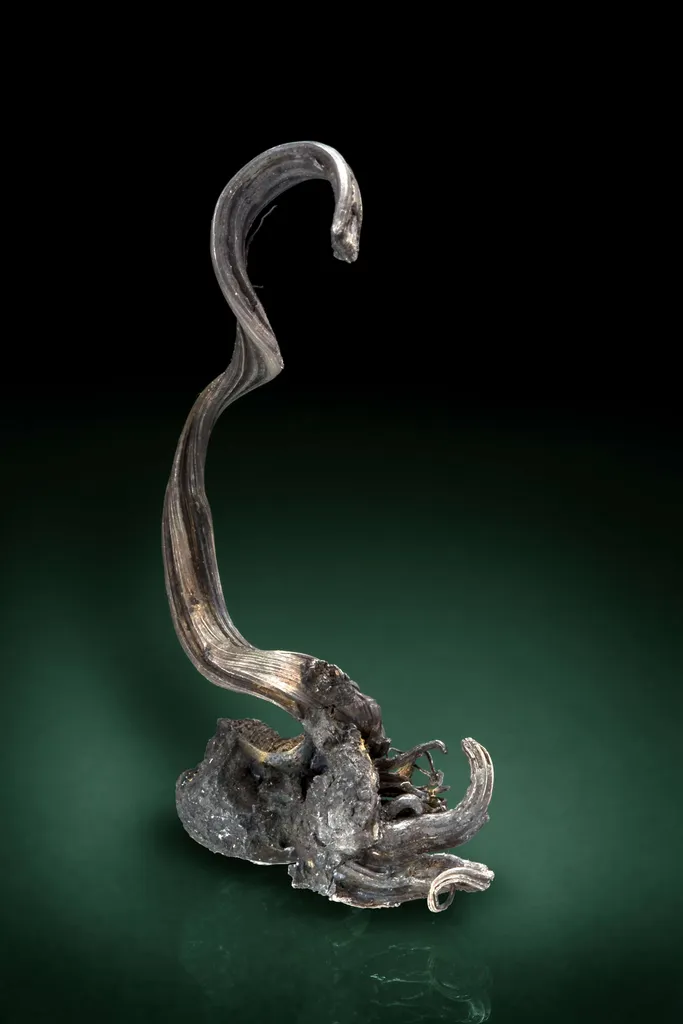 Silver image