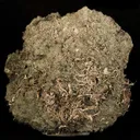 Silver - image 1