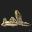 Silver - image 3