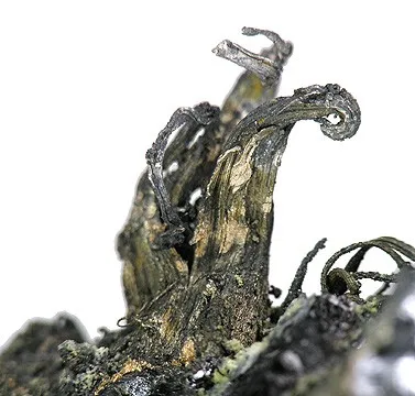 Silver - image 2