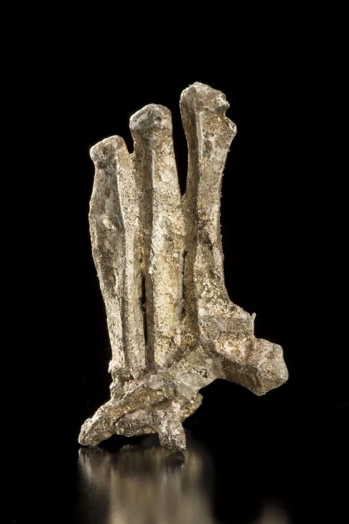 Silver - image 2