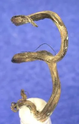 Silver - image 6