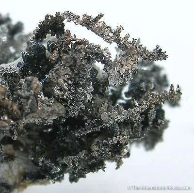 Silver - image 2