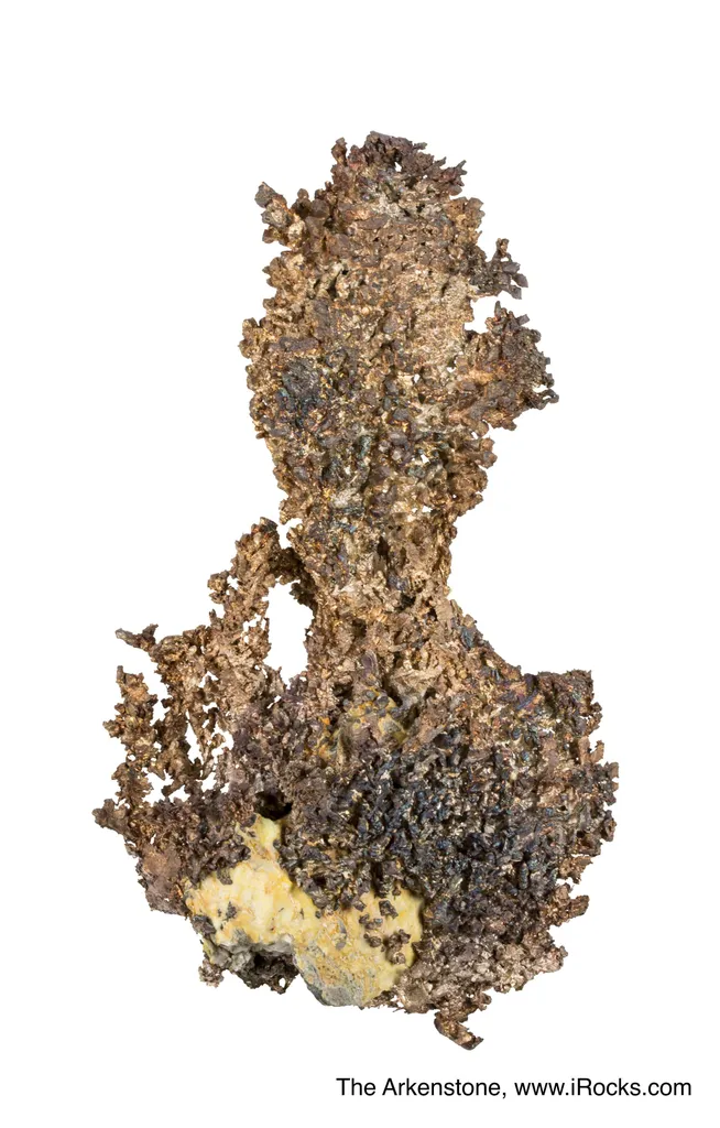 Silver - image 5