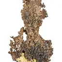 Silver - image 5