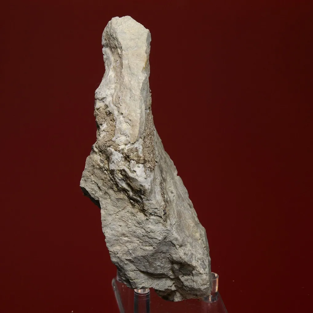 Silver - image 4