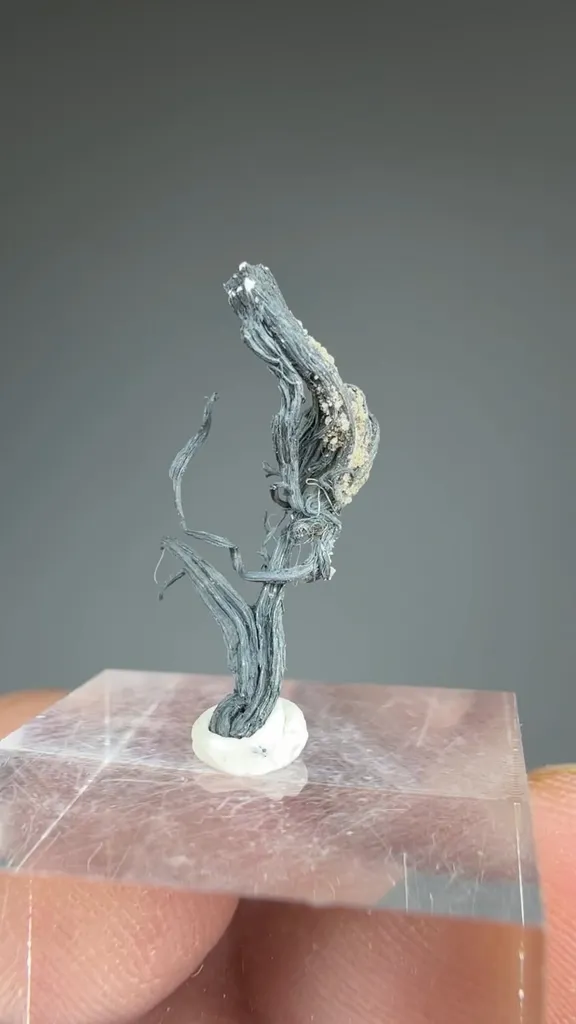 Silver - image 2